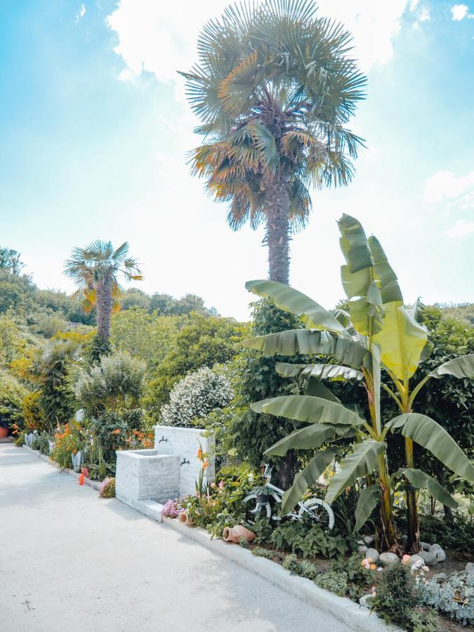 Apartments Gjenashaj Ulcinj Exterior foto
